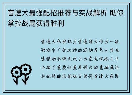 音速犬最强配招推荐与实战解析 助你掌控战局获得胜利